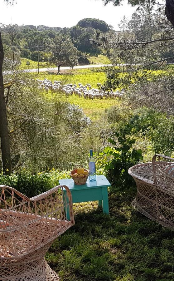 Morphee Valdareina, Piscine Chauffee, Benagil-Carvoeiro Appartement Carvoeiro  Buitenkant foto