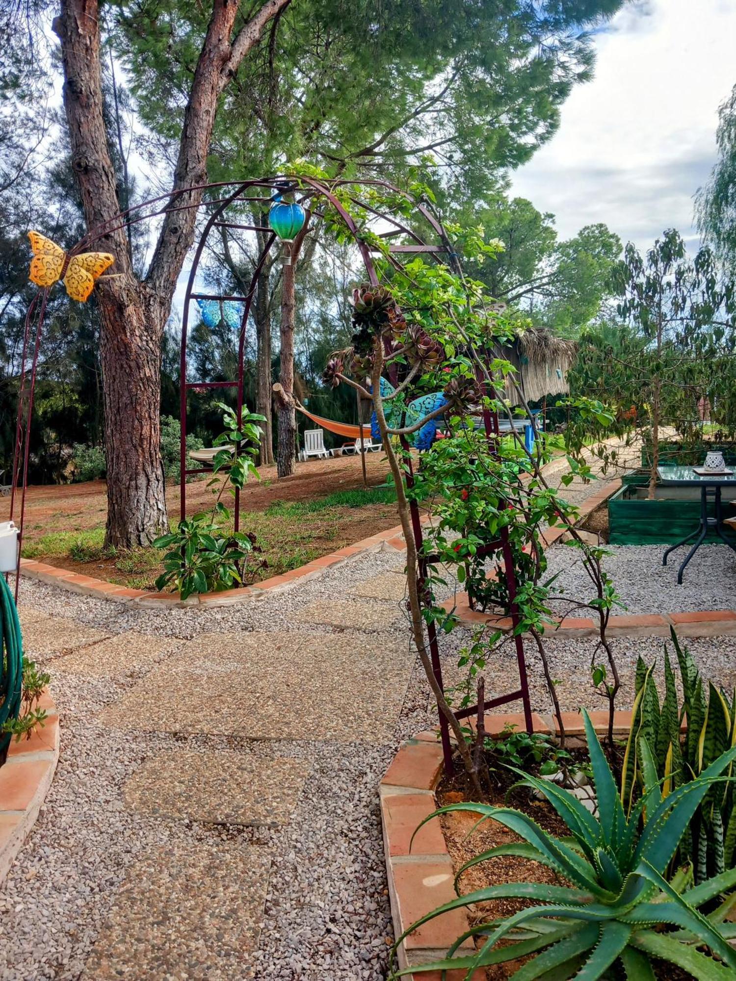 Morphee Valdareina, Piscine Chauffee, Benagil-Carvoeiro Appartement Carvoeiro  Buitenkant foto
